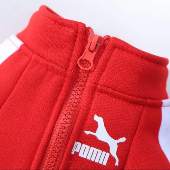 Dog baseball jacket various sizes Small-Large - Picture 6 of 6